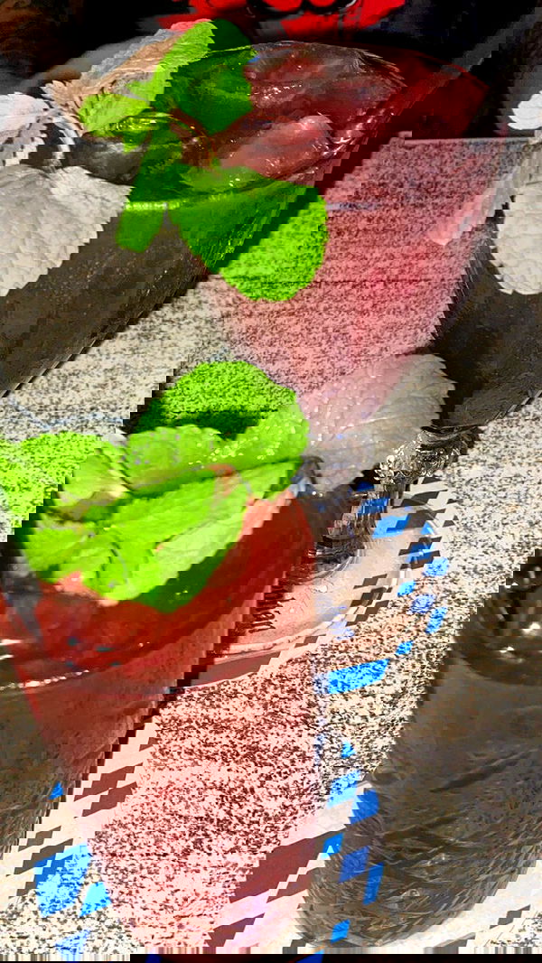 dustheadd dustheadd archive image