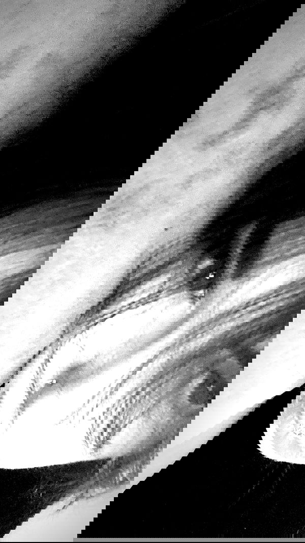 dustheadd dustheadd archive image