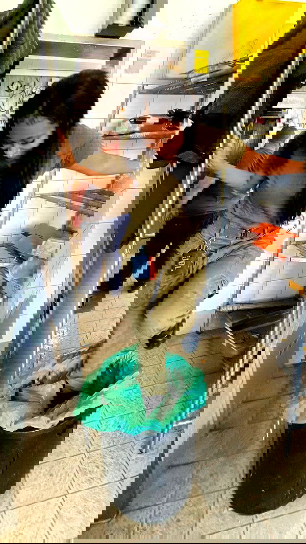 dustheadd dustheadd archive image