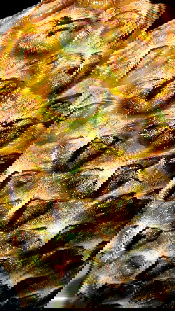 dustheadd dustheadd archive image