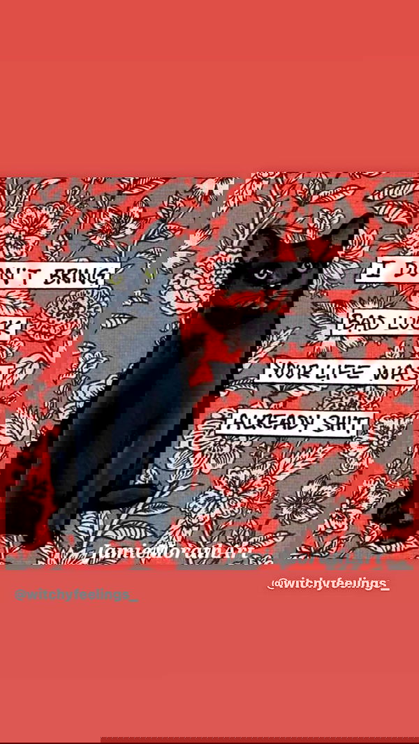 dustheadd dustheadd archive image