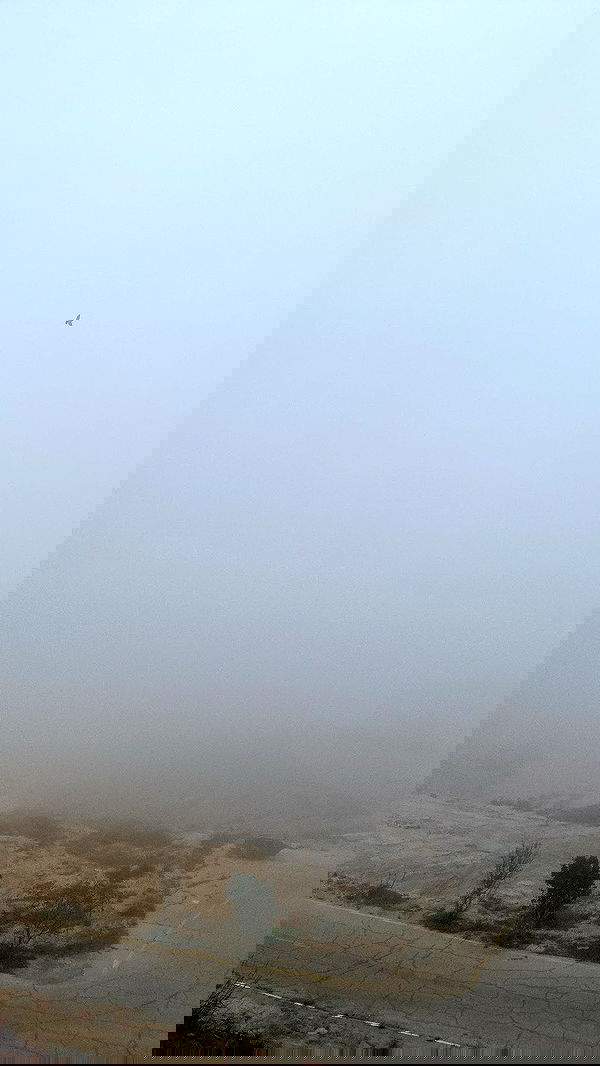 dustheadd dustheadd archive image