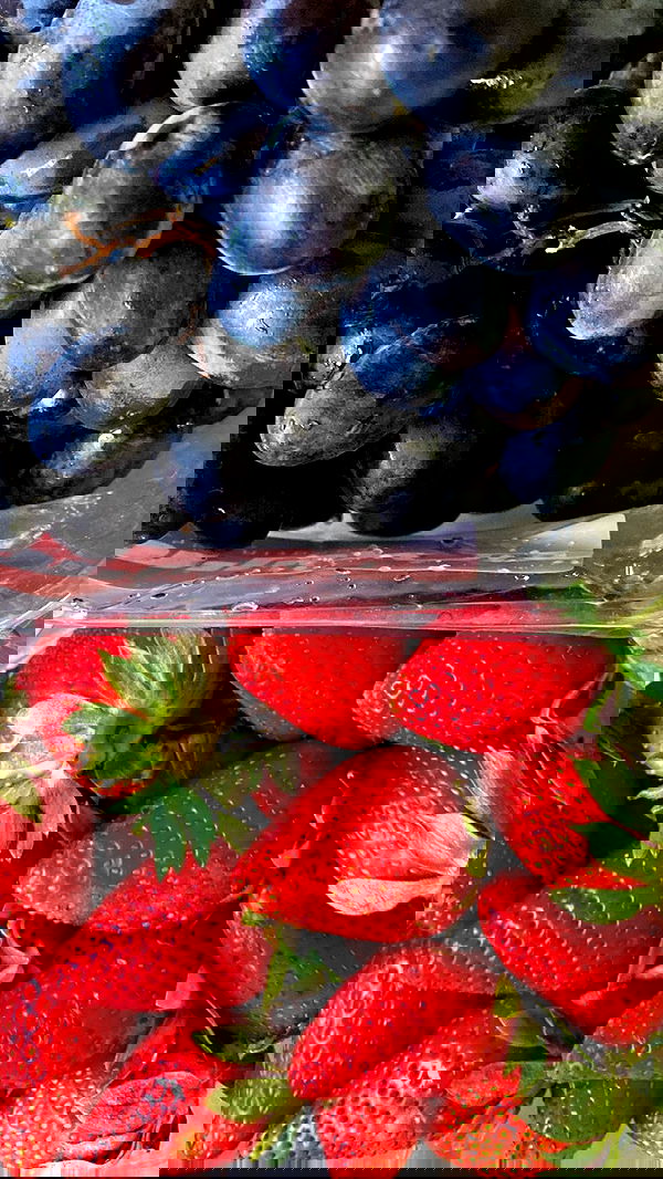 dustheadd dustheadd archive image