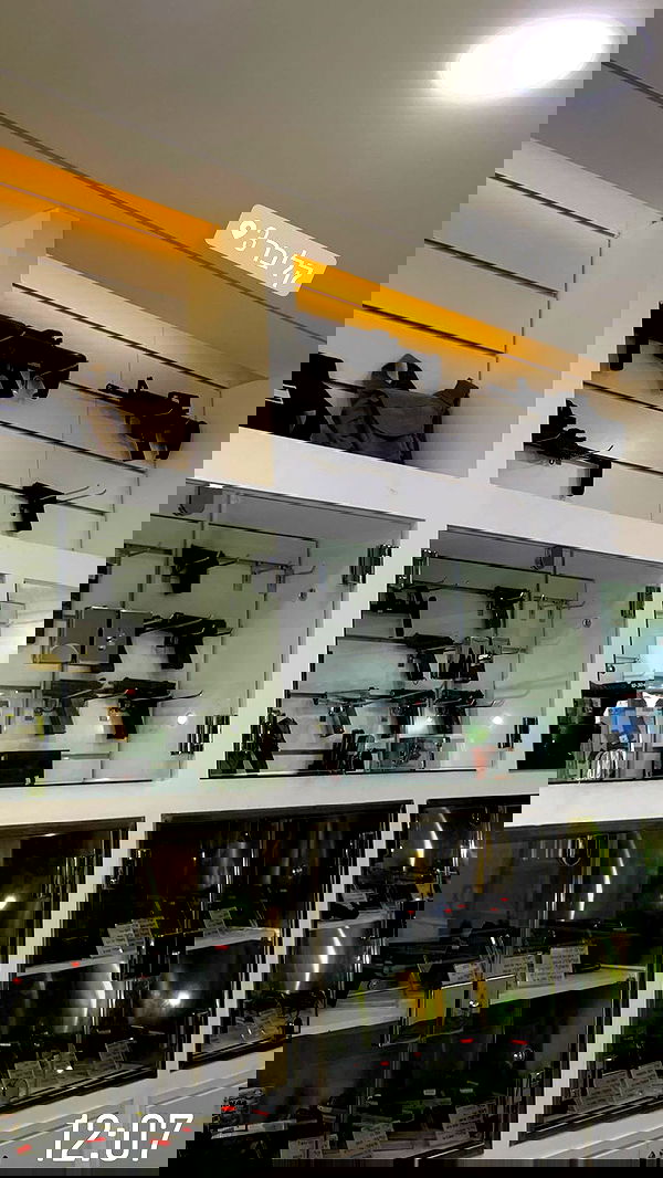 eveliniya eveliniya archive image