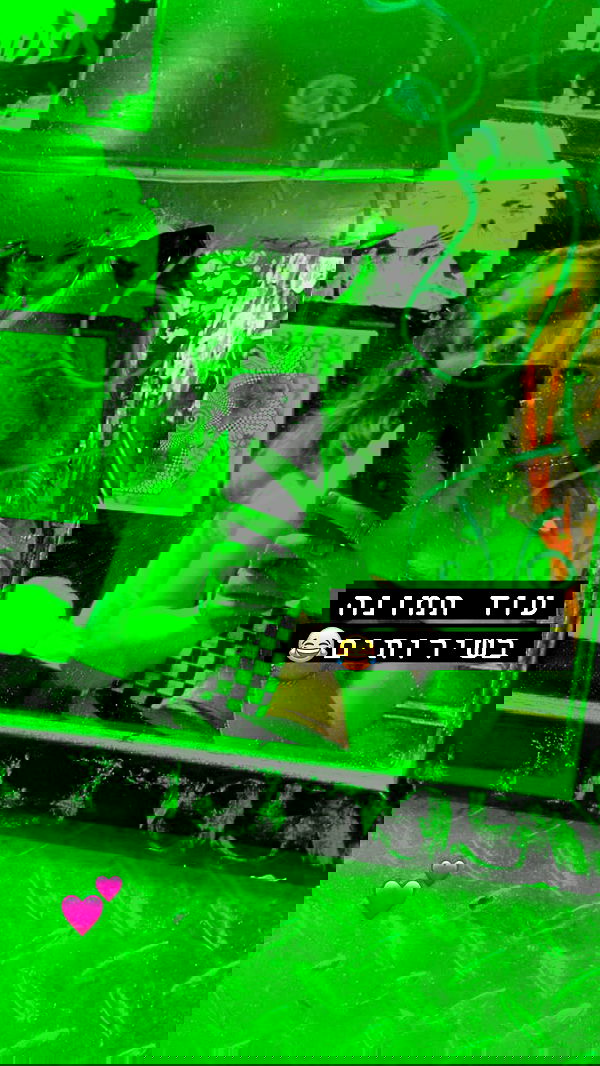 eveliniya eveliniya archive image