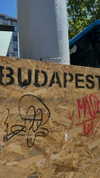 hagarschubert Altpins Profile Picture
