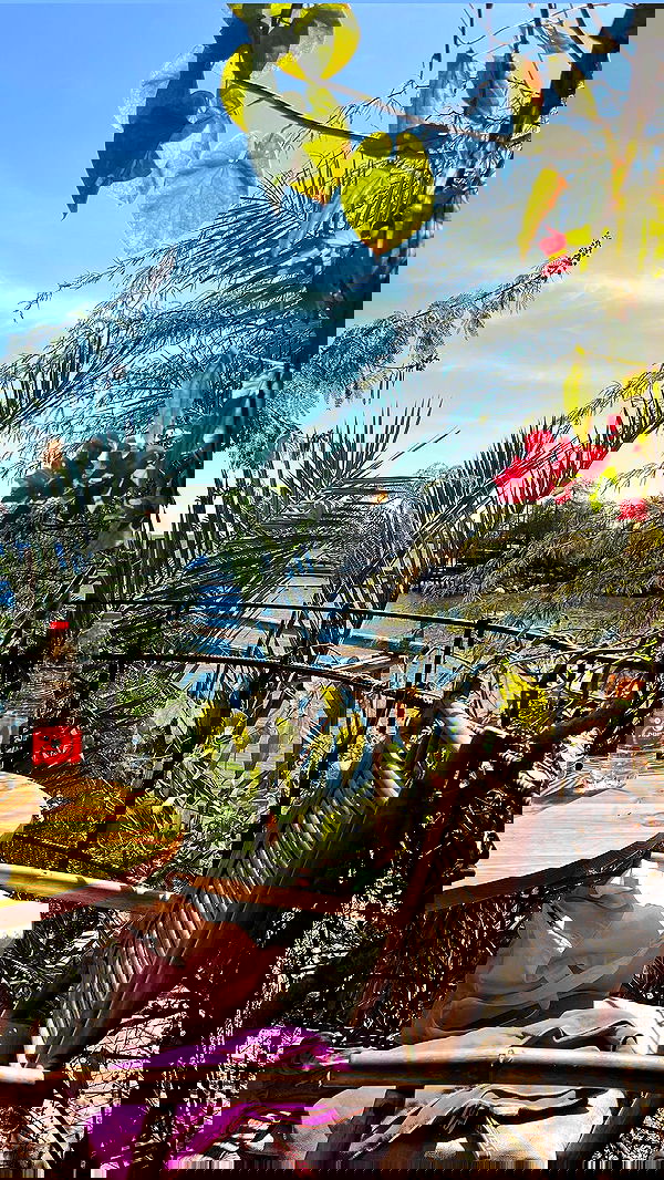 jaroslava_klavir jaroslava_klavir archive image