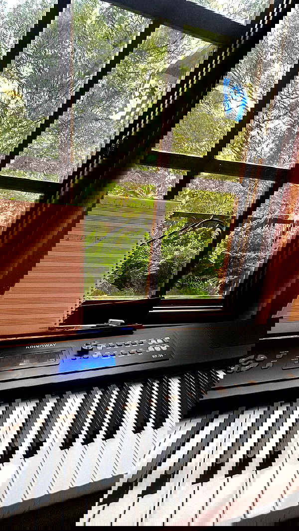 kaliamorcita image ~ Altpins