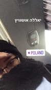 karin_orhov Altpins Profile Picture
