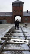 karin_orhov Altpins Profile Picture