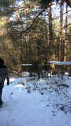 karin_orhov Altpins Profile Picture