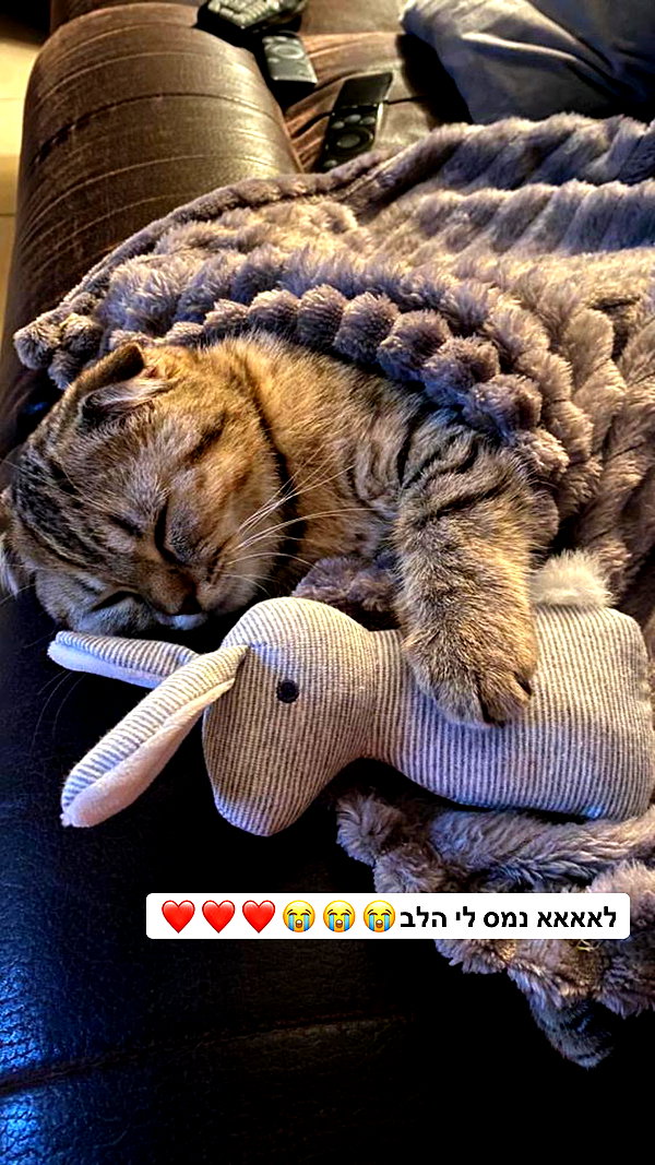 karin_orhov instagram image archive image