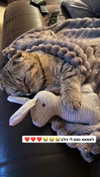 karin_orhov Altpins Profile Picture