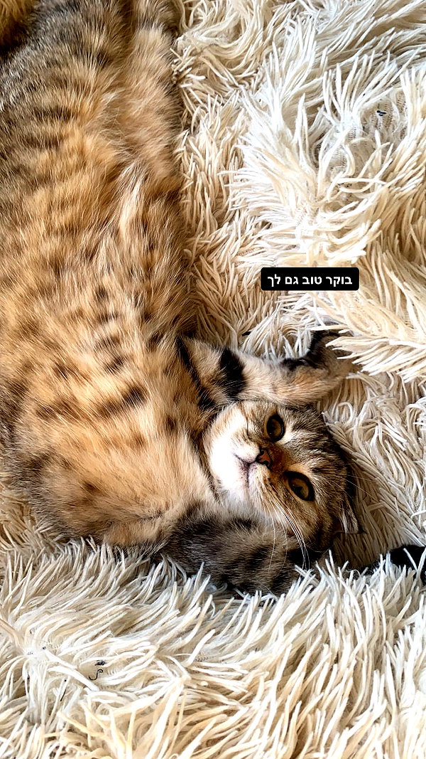 karin_orhov instagram image archive image