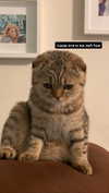 karin_orhov Altpins Profile Picture
