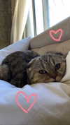 karin_orhov Altpins Profile Picture
