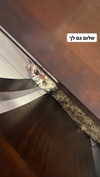 karin_orhov Altpins Profile Picture