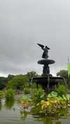 karin_orhov Altpins Profile Picture