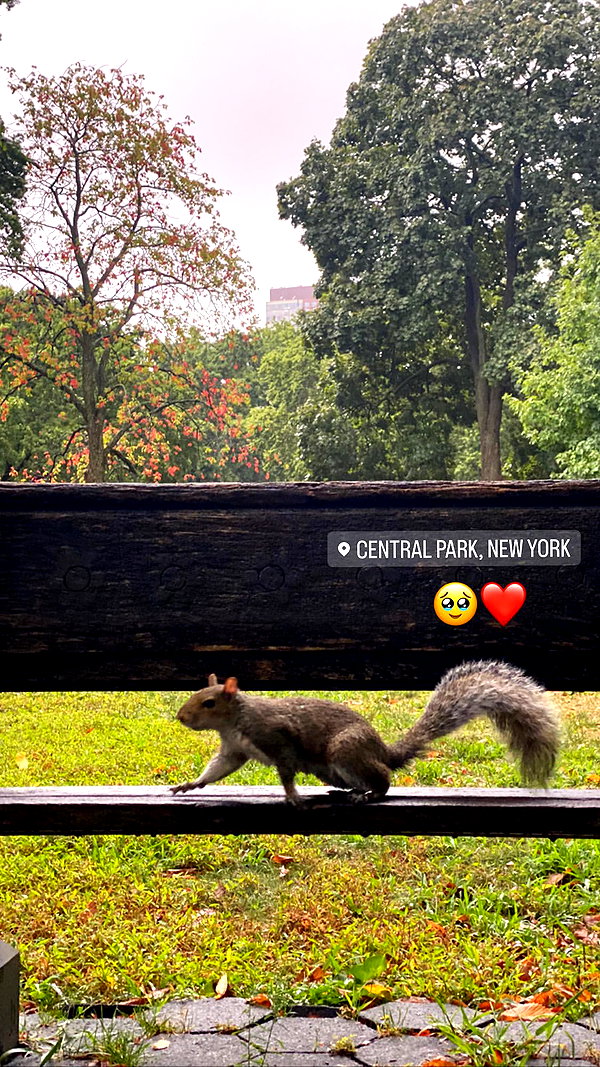 karin_orhov instagram image archive image