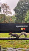 karin_orhov Altpins Profile Picture