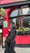 karin_orhov Altpins Profile Picture