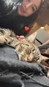 karin_orhov Altpins Profile Picture