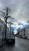 karin_orhov Altpins Profile Picture