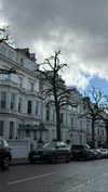 karin_orhov Altpins Profile Picture