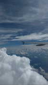 karin_orhov Altpins Profile Picture