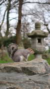 karin_orhov Altpins Profile Picture