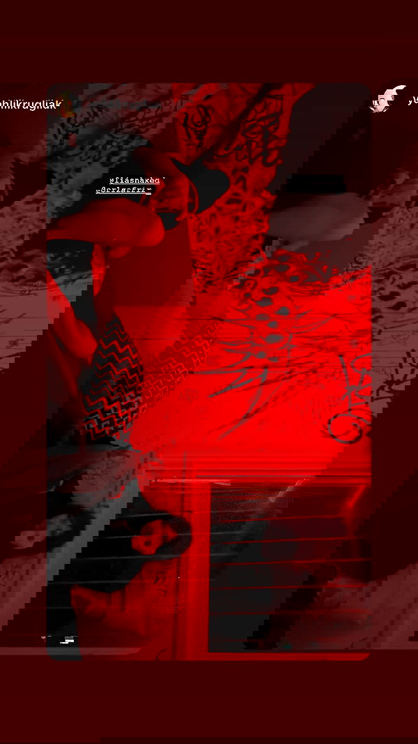 liashaked liashaked archive image