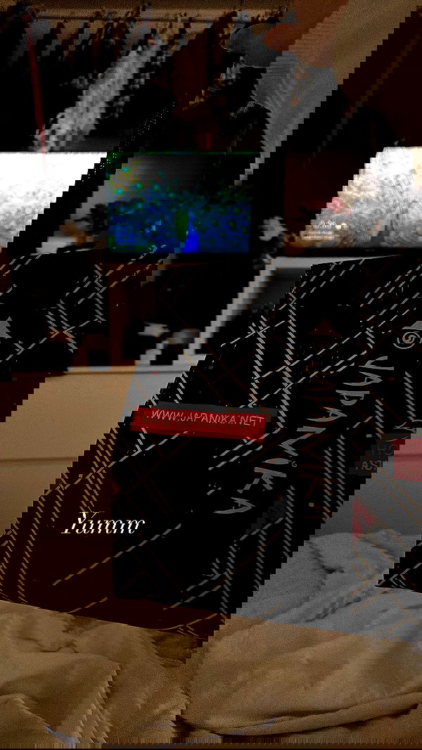 liashaked liashaked archive image