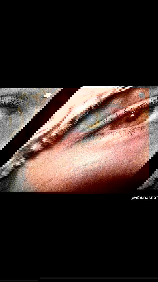 liashaked liashaked archive image