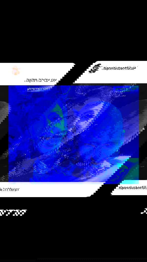 liashaked liashaked archive image