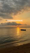 liori_hen Altpins Profile Picture