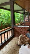 liori_hen Altpins Profile Picture