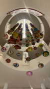 liori_hen Altpins Profile Picture