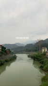 liori_hen Altpins Profile Picture