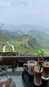 liori_hen Altpins Profile Picture