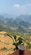 liori_hen Altpins Profile Picture