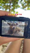 liori_hen Altpins Profile Picture