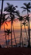 liori_hen Altpins Profile Picture