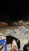 liori_hen Altpins Profile Picture