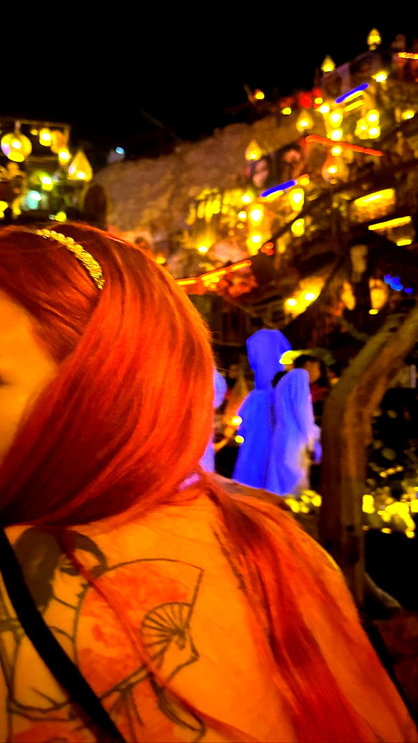 liori_hen liori_hen archive image