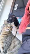 liori_hen Altpins Profile Picture
