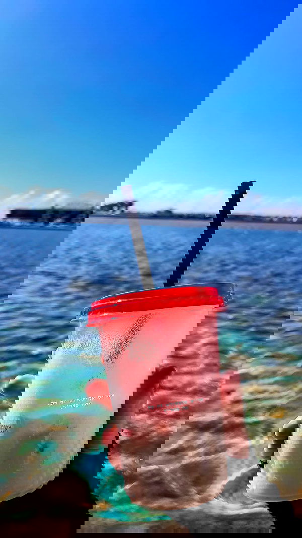 lissi77 lissi77 archive image