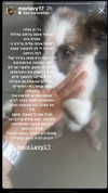 lisush_9 Altpins Profile Picture