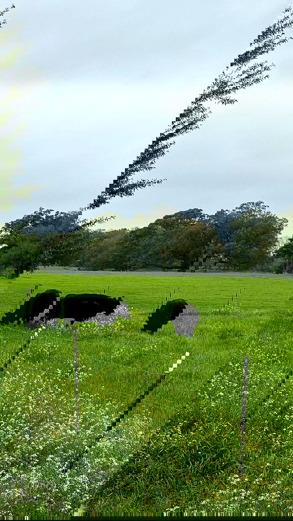 lu2hot lu2hot archive image