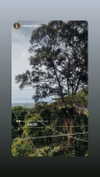 molly_fridman Altpins Profile Picture
