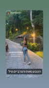 molly_fridman Altpins Profile Picture